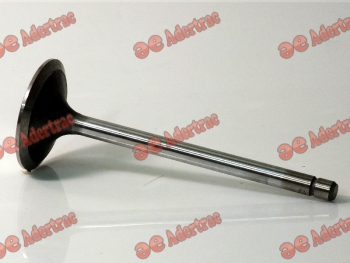 FT01-1021 Fiat Tractor & New Holland 4784888 VÁLVULA (DE ENTRADA)