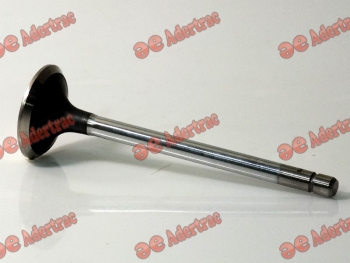 FT01-1022 Fiat Tractor & New Holland 4784889 VÁLVULA (DE ESCAPE)