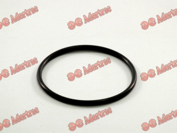 O-Ring & Gomme 3000789 and (193) 