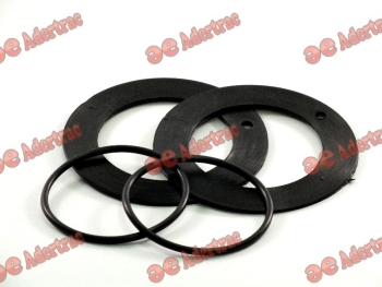 O-Ring & Rubbers 3000789 and (193-B) LIFT ARM O RING KIT