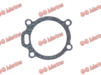 MF15-0170 Massey Ferguson 36866721 and 4222457 JOINT DE POMPE A EAU