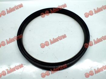 SD06-2007 Same & Deutz 2.1529.138.0 SEAL