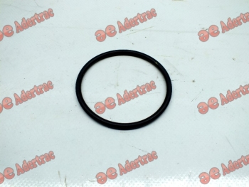 SD06-2017 Same & Deutz 2.1530.134.0 ORING